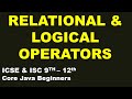 Relational & Logical Operators in Java | ISC & ICSE 9th-12th | Programming Theory | Core Java