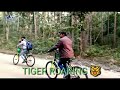 cycling in valmiki tiger reserve cycle safari