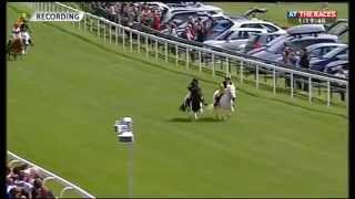 Shetland Pony Race