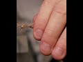 60 Seconds FLYTYING • Jiggy Goby • TUTORIAL #flytying #flytyingforbeginners #tutorial