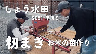 【お米の籾まきのやり方】お米の苗の作り方！庭で育苗する方法！しょう水田2021年#5