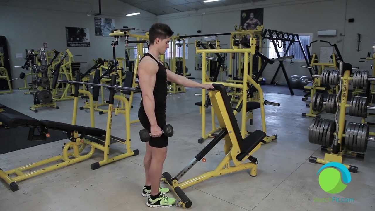 Standing Dumbbell Calf Raise, Circuit Training Ideas To Workout Your ...