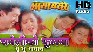 Chameli Ko Phool Ma original Song Udit Narayan jha \u0026 Satyakala Rai Nepali Movie Maya Basechha  song