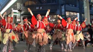 ほにや～2014高知よさこい祭り・全国大会(帯屋町筋会場)