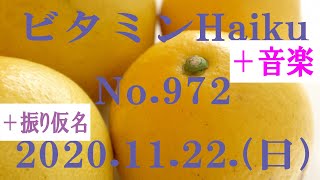 今日の俳句＋音楽。ビタミンHaiku。No.972。2020.11.22.(日曜日)