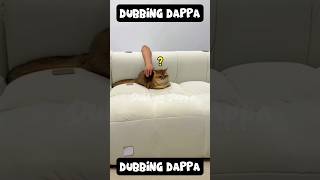 Amme Peiyuuu 🤣 || Dubbing Dappa #shorts #funny #shortsfeed #comedy #cat #catvideos #funnyanimals