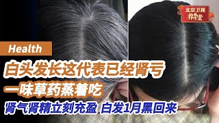 白发长哪最危险？前额两鬓预示脾胃虚弱，头顶代表气血亏虚，长这里肾精肾气已经不足！一味药食同源草药，蒸着吃，肾气肾精立刻充盈如海，白发慢慢黑回来！《养生堂》