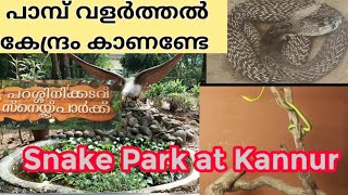 Snake Park Kannur || പാമ്പ് വളർത്തൽ കേന്ദ്രം || ചേര മുതൽ വിഷമുള്ള പാമ്പ് വരെ ഉള്ളിടം