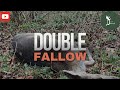 March Double Fallow