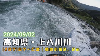 #リバーSUP ...【高知県・仁淀川・上八川川〜】20240902  不動水位0.09m  SUP仁淀川の動画です。#リバーサップ  #仁淀川