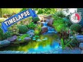 A Backyard Pond Timelapse!