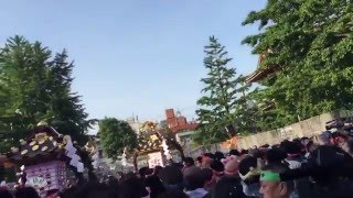 三社祭 宮出し 浅草神社例大祭 2016年