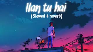 Han tu hai || New (slowed+Reverb)lofi 🎧|| Heart soul lofi||