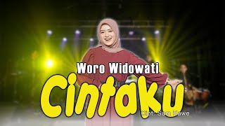 DALAM SEPIKU KAULAH CANDAKU - CINTAKU - WORO WIDOWATI(official Music Video)