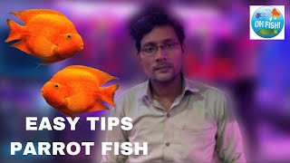 Easy Care tips for Parrot Fish|| Arif Momin || How to keep a Parrot Fish|| Medicine || Food ||