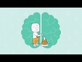 Brain development in the early years