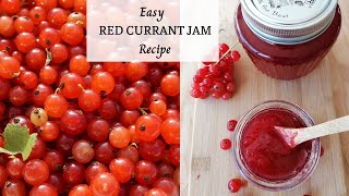 How to make Red Currant Jam and easy way to separate the berries from the stalks