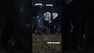 आपली संस्कृती डोंगऱ्या देव