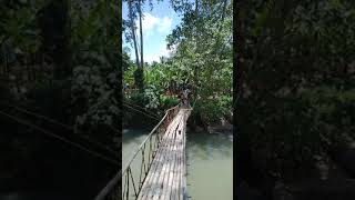 Lower Dinganen hanging bridge..