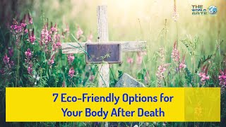 7 Eco-Friendly Options for Your Body After Death