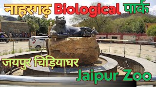 Nahargarh Biological Park Jaipur | Jaipur Zoo | Jaipur chidiyaghar | जयपुर चिड़ियाघर