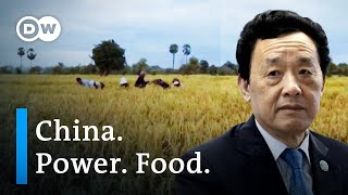 China's grab for the UN‘s Food and Agriculture Organization | DW Documentary