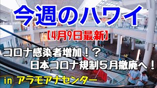 【今週のハワイ★４月９日最新版】１週間のハワイ情報をまとめてお届け♪これを見ればハワイの今がわかる！！