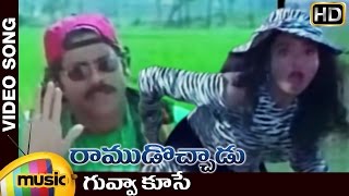 Ramudochadu Telugu Movie Songs | Guvva Kuse Video Song | Nagarjuna | Soundarya | Mango Music