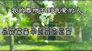 我的唇吻不到我爱的人-伴奏