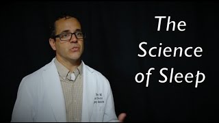 science of sleep - Introduction