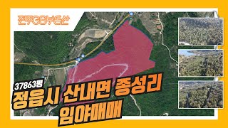 [정읍시 임야매매] 정읍시 산내면 종성리 37863평 임야매매