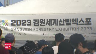 강원세계산림엑스포 D-50, 시민 대상 붐업 행사