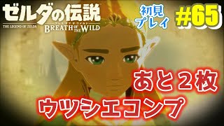 【ゼルダの伝説 ブレス オブ ザ ワイルド】ウツシエの記憶11枚目（式典場跡）の場所をガーディアンだらけの中探します♪コンプまであと2枚！ #65【ブレワイ】