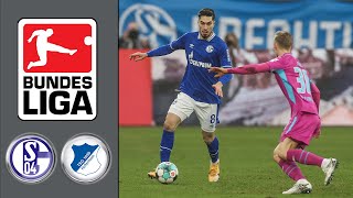 FC Schalke 04 vs TSG 1899 Hoffenheim ᴴᴰ 09.01.2021- 15.Spieltag - 1. Bundesliga | FIFA 21