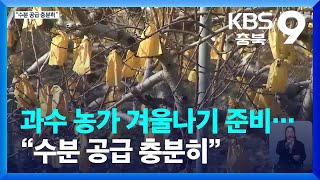 과수 농가 겨울나기 준비…“수분 공급 충분히” / KBS  2022.11.11.