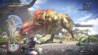 MHW_弓ソロ_歴戦イビルジョー_6分05秒