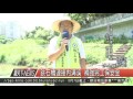 10500907觀天下新聞hd04 跳石橋連接內溝溪 補強完工保安全