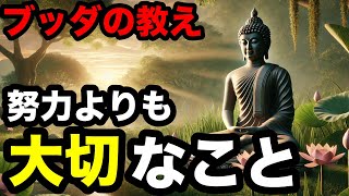 【ブッダの教え】努力の代わりにすべきこと。人生後悔しないブッダの生き方。2500年前から伝わる仏教の真髄。【仏教 瞑想 自己啓発】