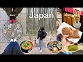 Japan travel p2. 🇯🇵 | exploring nara & arashiyama, visiting deer park and what we eat! (yummy food)