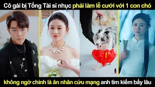 Cô gái bị Tổng Tài sỉ nhục phải làm lễ cưới với 1 con chó không ngờ lại là ân nhân từng cứu mạng anh