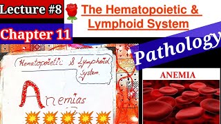 🛑hematology lecture.#8❤️Special Pathology lectures. #Anemia #hematopoietic #lymphoid_system.#RBCS HB