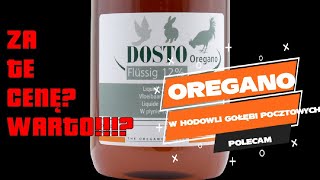 GOŁĘBIE POCZTOWE - OREGANO 12%