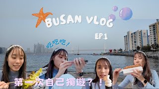 [Travel Vlog] Busan 釜山 Ep.1 海雲台☁️廣安里🏖️文青小店🌾半獨遊🌸尋找剩下的櫻花