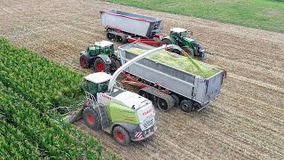 2x Horsch Trailerlift + Fliegl Transfarmer in der Maisernte [ LU Marten \u0026 Teune | LU Wesemann ] /4K/