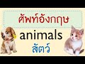 สัตว์ ภาษาอังกฤษ Animals