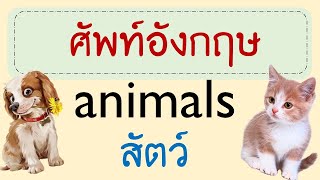 สัตว์ ภาษาอังกฤษ Animals