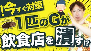 【徹底駆除！】繁盛店を目指すためのゴキブリ対策【飲食店】