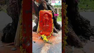 || ஸ்ரீ வேணுகோபால சுவாமி | Tirumalai Tirupathi ||. || Sri Venugopala Swamy Temple //