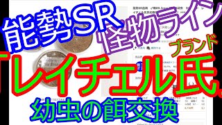 能勢SR「レイチェル氏」 幼虫を購入 オオクワガタ 大型血統 怪物ライン