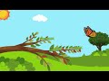 bella the arrogant butterfly tugas english for young learners